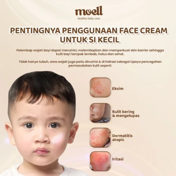 Moell Face Cream 40gr - Gambar 3