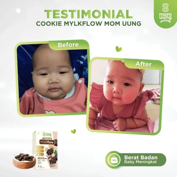 MOM UUNG Cookie Asi Booster Mylkflow - Gambar 8